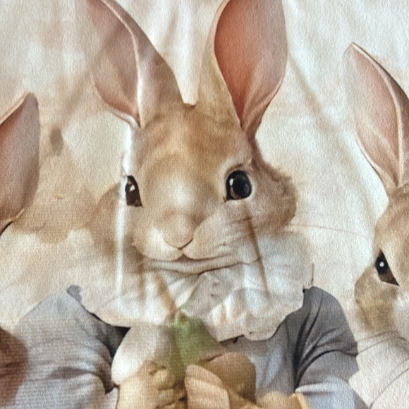 NEW Beatrix Pottet Peter Rabbit inspired nursery baby's room throw pillow cover - Picture 8 of 13